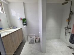 Evergreen Park (D19), Apartment #455750421